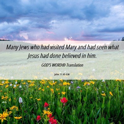 Picture 06 - John 11:45 GW - Many Jews who had visited Mary and had seen what - Bible Verse Picture