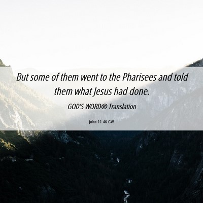 Picture 06 - John 11:46 GW - But some of them went to the Pharisees and told - Bible Verse Picture