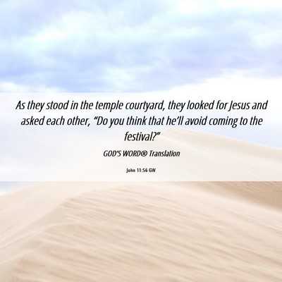 Picture 06 - John 11:56 GW - As they stood in the temple courtyard, they - Bible Verse Picture