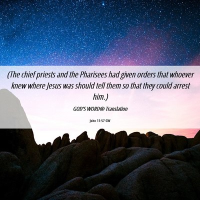 Picture 06 - John 11:57 GW - (The chief priests and the Pharisees had given - Bible Verse Picture