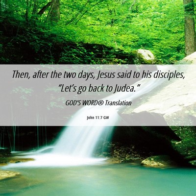 Picture 06 - John 11:7 GW - Then, after the two days, Jesus said to his - Bible Verse Picture