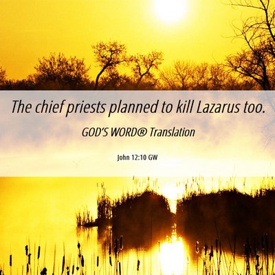 Picture 06 - John 12:10 GW - The chief priests planned to kill Lazarus - Bible Verse Picture