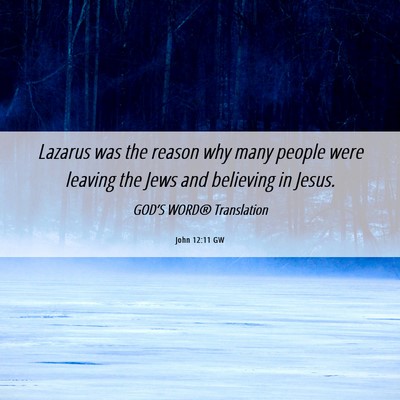 Picture 06 - John 12:11 GW - Lazarus was the reason why many people were - Bible Verse Picture