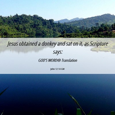 Picture 06 - John 12:14 GW - Jesus obtained a donkey and sat on it, as - Bible Verse Picture