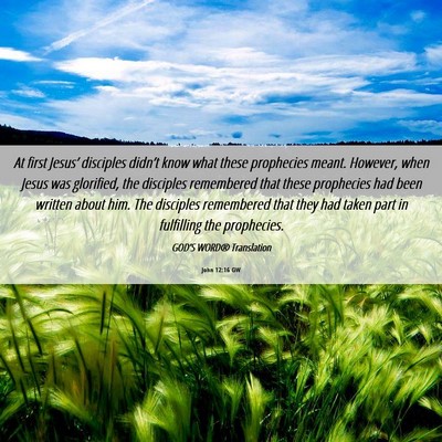Picture 06 - John 12:16 GW - At first Jesus’ disciples didn’t know what - Bible Verse Picture