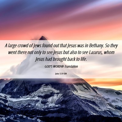 Picture 06 - John 12:9 GW - A large crowd of Jews found out that Jesus was in - Bible Verse Picture