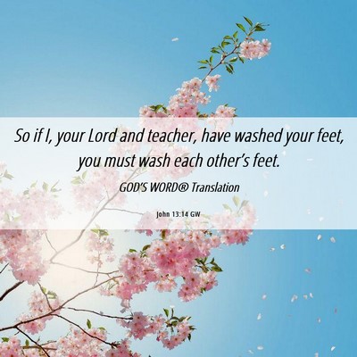 Picture 06 - John 13:14 GW - So if I, your Lord and teacher, have washed your - Bible Verse Picture