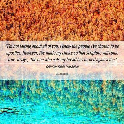 Picture 06 - John 13:18 GW - “I’m not talking about all of you. I know the - Bible Verse Picture