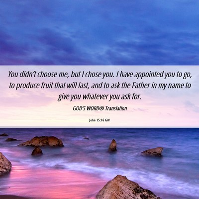 Picture 06 - John 15:16 GW - You didn’t choose me, but I chose you. I have - Bible Verse Picture