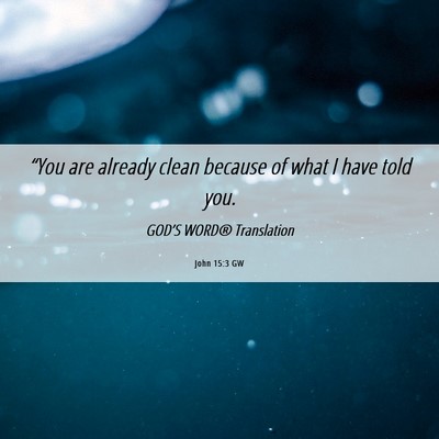 Picture 06 - John 15:3 GW - “You are already clean because of what I have - Bible Verse Picture