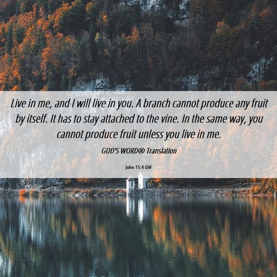 Picture 06 - John 15:4 GW - Live in me, and I will live in you. A branch - Bible Verse Picture