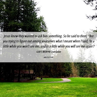 Picture 06 - John 16:19 GW - Jesus knew they wanted to ask him something. So - Bible Verse Picture