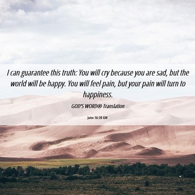 Picture 06 - John 16:20 GW - I can guarantee this truth: You will cry because - Bible Verse Picture