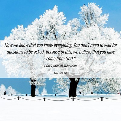 Picture 06 - John 16:30 GW - Now we know that you know everything. You don’t - Bible Verse Picture