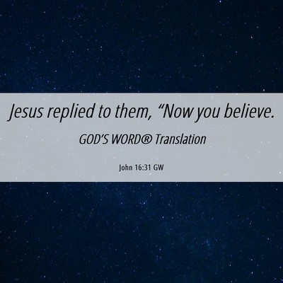Picture 06 - John 16:31 GW - Jesus replied to them, “Now you - Bible Verse Picture