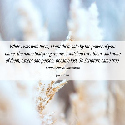 Picture 06 - John 17:12 GW - While I was with them, I kept them safe by the - Bible Verse Picture