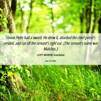 Picture 06 - John 18:10 GW - Simon Peter had a sword. He drew it, attacked the - Bible Verse Picture
