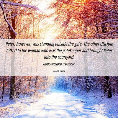 Picture 06 - John 18:16 GW - Peter, however, was standing outside the gate. - Bible Verse Picture