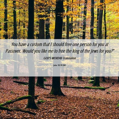 Picture 06 - John 18:39 GW - You have a custom that I should free one person - Bible Verse Picture