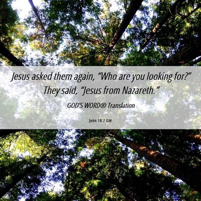 Picture 06 - John 18:7 GW - Jesus asked them again, “Who are you looking - Bible Verse Picture