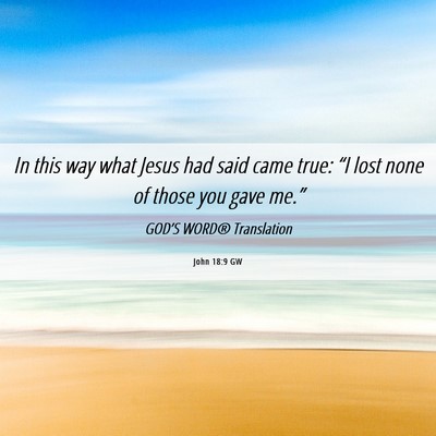 Picture 06 - John 18:9 GW - In this way what Jesus had said came true: “I - Bible Verse Picture
