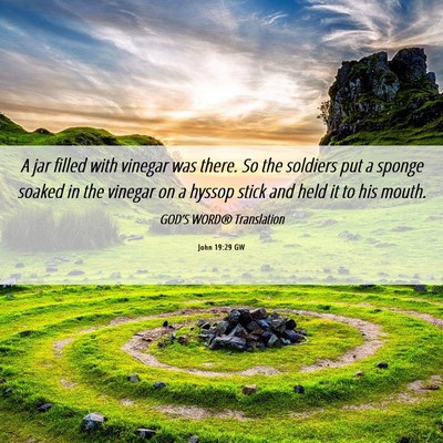 Picture 06 - John 19:29 GW - A jar filled with vinegar was there. So the - Bible Verse Picture