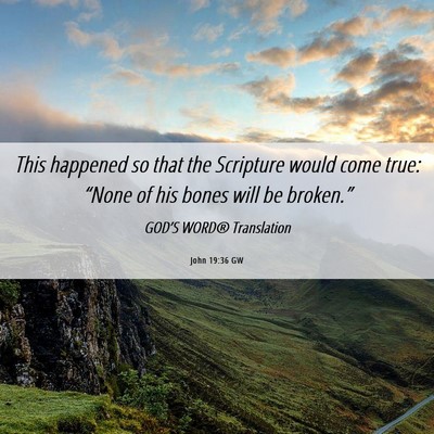 Picture 06 - John 19:36 GW - This happened so that the Scripture would come - Bible Verse Picture