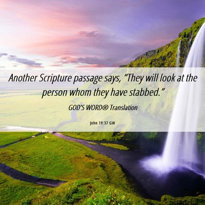 Picture 06 - John 19:37 GW - Another Scripture passage says, “They will look - Bible Verse Picture