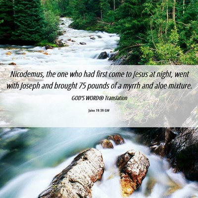 Picture 06 - John 19:39 GW - Nicodemus, the one who had first come to Jesus at - Bible Verse Picture