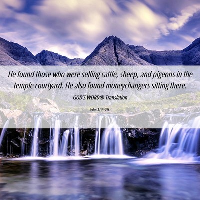 Picture 06 - John 2:14 GW - He found those who were selling cattle, sheep, - Bible Verse Picture