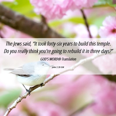 Picture 06 - John 2:20 GW - The Jews said, “It took forty-six years to - Bible Verse Picture