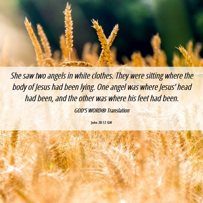 Picture 06 - John 20:12 GW - She saw two angels in white clothes. They were - Bible Verse Picture