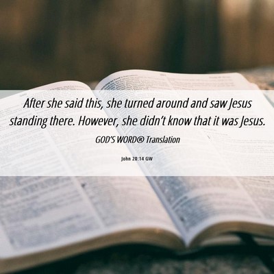 Picture 06 - John 20:14 GW - After she said this, she turned around and saw - Bible Verse Picture