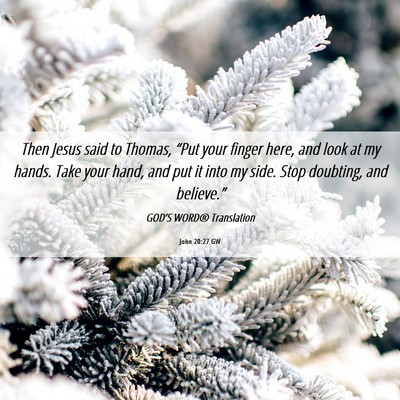 Picture 06 - John 20:27 GW - Then Jesus said to Thomas, “Put your finger - Bible Verse Picture