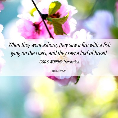 Picture 06 - John 21:9 GW - When they went ashore, they saw a fire with a - Bible Verse Picture