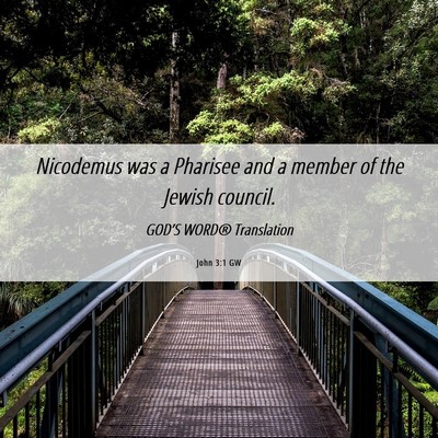 Picture 06 - John 3:1 GW - Nicodemus was a Pharisee and a member of the - Bible Verse Picture