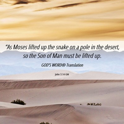 Picture 06 - John 3:14 GW - “As Moses lifted up the snake on a pole in the - Bible Verse Picture