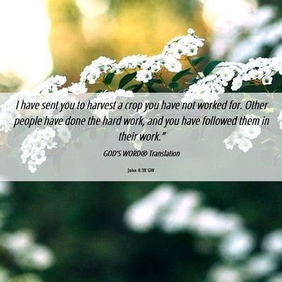 Picture 06 - John 4:38 GW - I have sent you to harvest a crop you have not - Bible Verse Picture