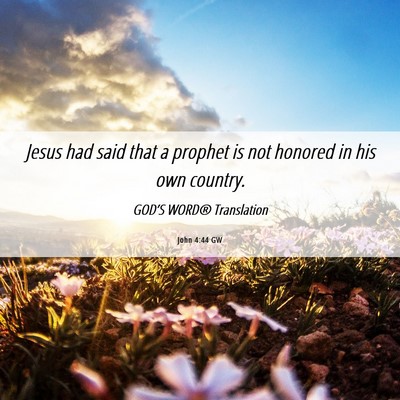 Picture 06 - John 4:44 GW - Jesus had said that a prophet is not honored in - Bible Verse Picture