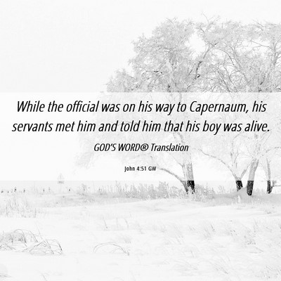 Picture 06 - John 4:51 GW - While the official was on his way to Capernaum, - Bible Verse Picture