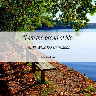 Picture 06 - John 6:48 GW - “I am the bread of - Bible Verse Picture