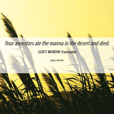 Picture 06 - John 6:49 GW - Your ancestors ate the manna in the desert and - Bible Verse Picture