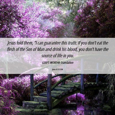 Picture 06 - John 6:53 GW - Jesus told them, “I can guarantee this truth: - Bible Verse Picture