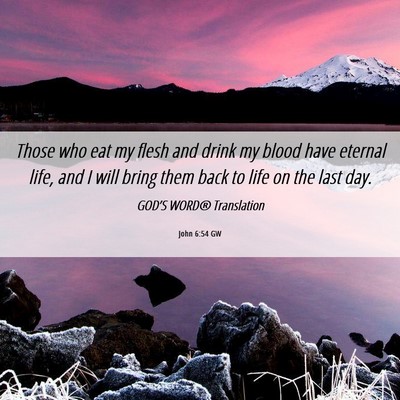 Picture 06 - John 6:54 GW - Those who eat my flesh and drink my blood have - Bible Verse Picture