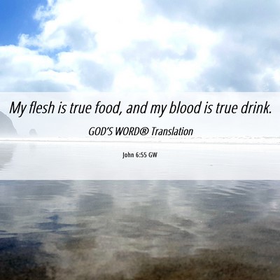 Picture 06 - John 6:55 GW - My flesh is true food, and my blood is true - Bible Verse Picture