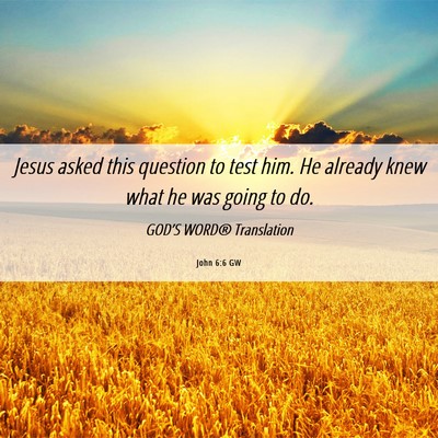 Picture 06 - John 6:6 GW - Jesus asked this question to test him. He already - Bible Verse Picture