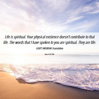 Picture 06 - John 6:63 GW - Life is spiritual. Your physical existence - Bible Verse Picture