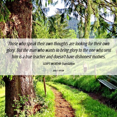 Picture 06 - John 7:18 GW - Those who speak their own thoughts are looking - Bible Verse Picture