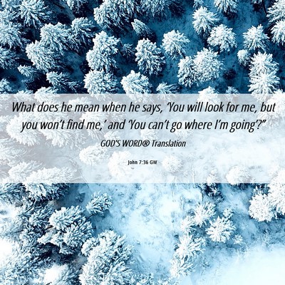 Picture 06 - John 7:36 GW - What does he mean when he says, ‘You will look - Bible Verse Picture