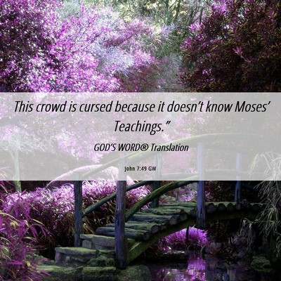 Picture 06 - John 7:49 GW - This crowd is cursed because it doesn’t know - Bible Verse Picture